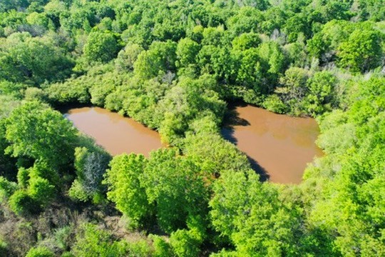 7930 Us Hwy 59 N Property Photo 34