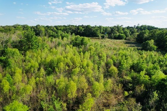 7930 Us Hwy 59 N Property Photo 35