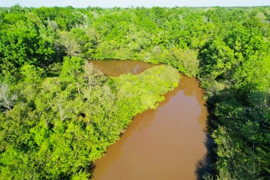 7930 Us Hwy 59 N Property Photo 38