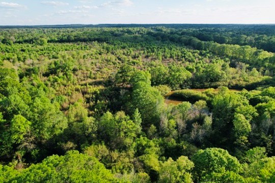 7930 Us Hwy 59 N Property Photo 40