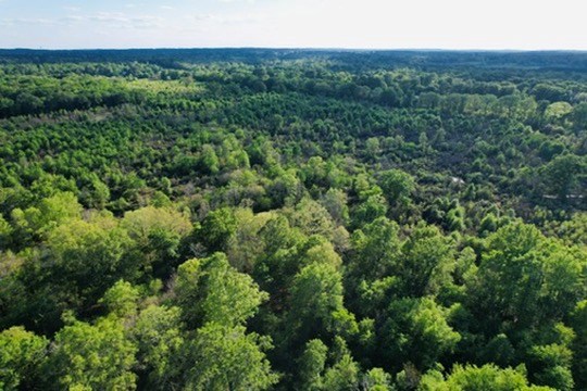 7930 Us Hwy 59 N Property Photo 41