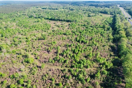 7930 Us Hwy 59 N Property Photo 43