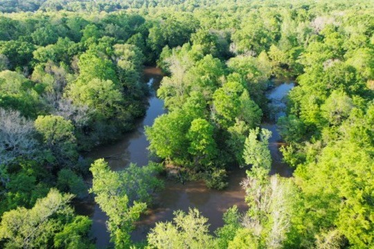 7930 Us Hwy 59 N Property Photo 44