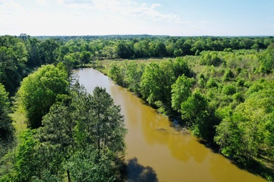7930 Us Hwy 59 N Property Photo 45