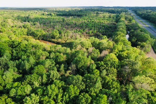 7930 Us Hwy 59 N Property Photo 50