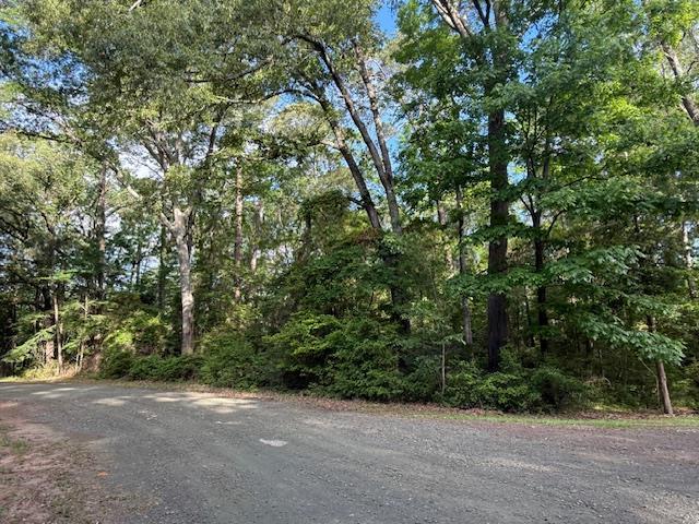 742 (lot) Bowline Drive Property Photo 1