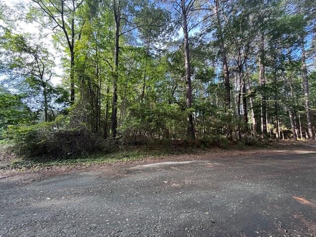 742 (lot) Bowline Drive Property Photo 2