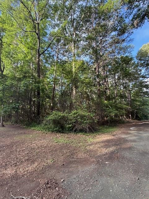 742 (lot) Bowline Drive Property Photo 4