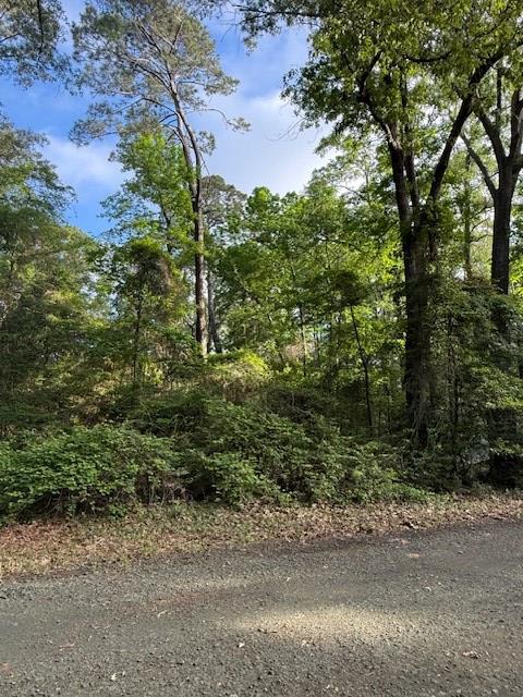 742 (lot) Bowline Drive Property Photo 5