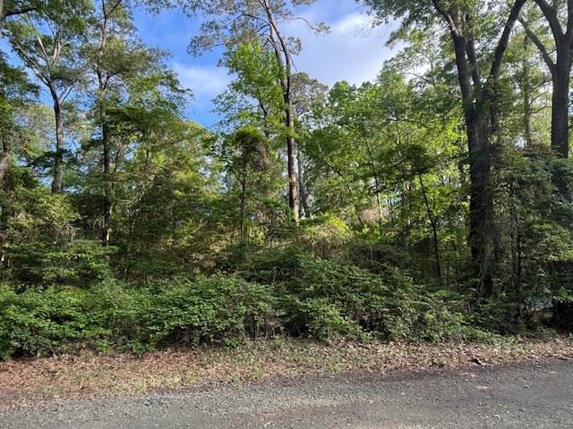742 (lot) Bowline Drive Property Photo 6