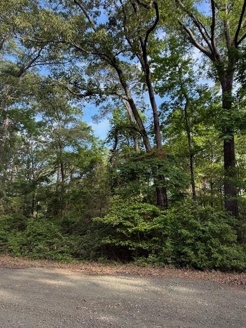 742 (lot) Bowline Drive Property Photo 7