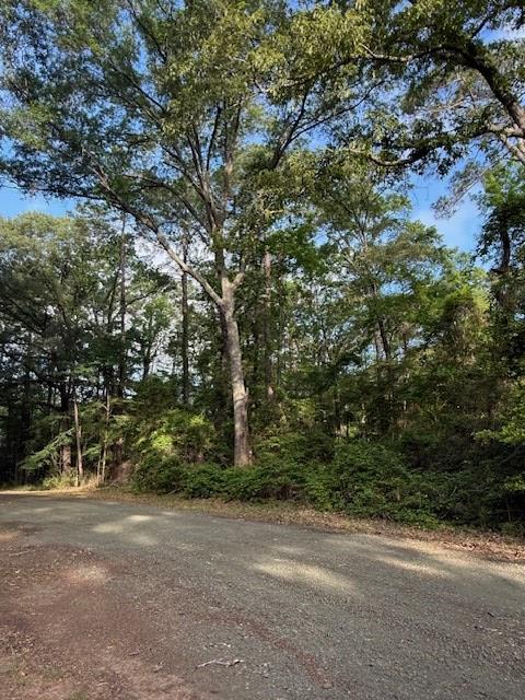 742 (lot) Bowline Drive Property Photo 8