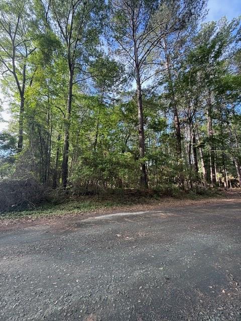 742 (lot) Bowline Drive Property Photo 9