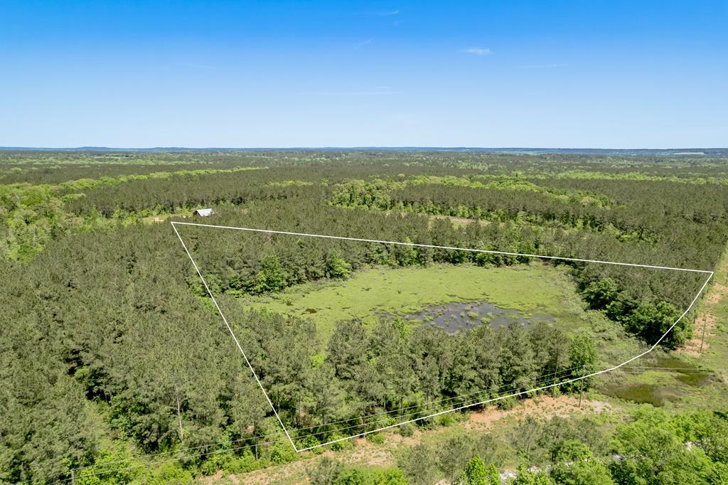 443 Lakepoint Passage Property Photo 1