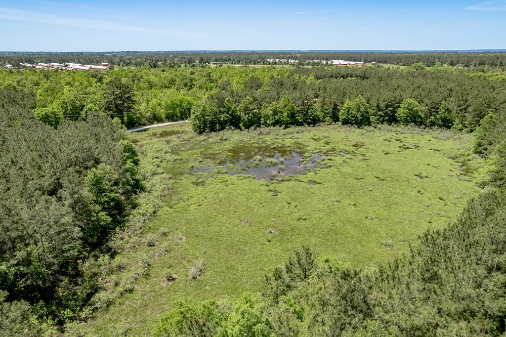 443 Lakepoint Passage Property Photo 3
