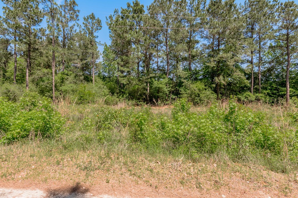 443 Lakepoint Passage Property Photo 9