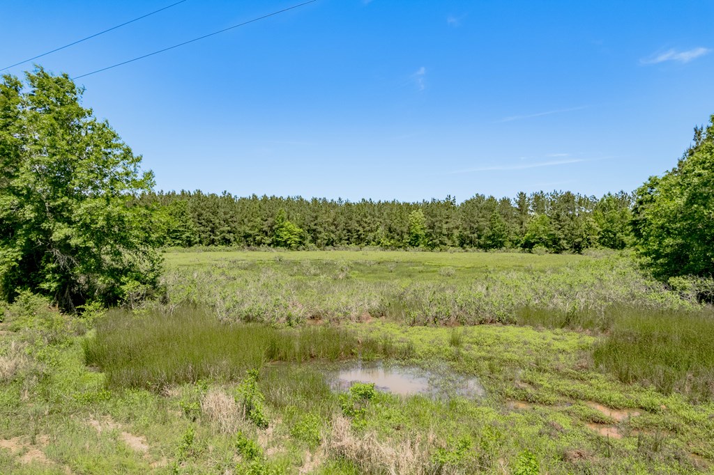443 Lakepoint Passage Property Photo 10