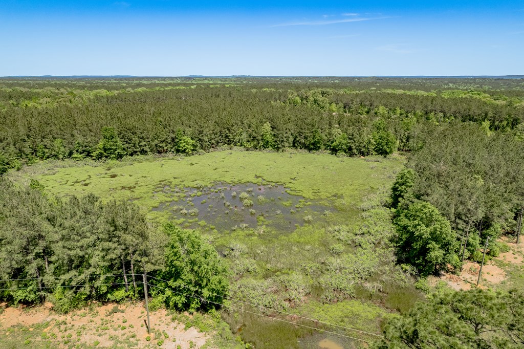 443 Lakepoint Passage Property Photo 11