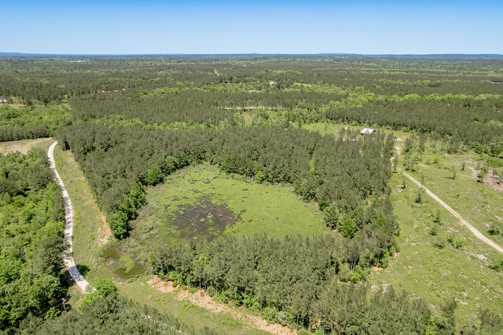 443 Lakepoint Passage Property Photo 13