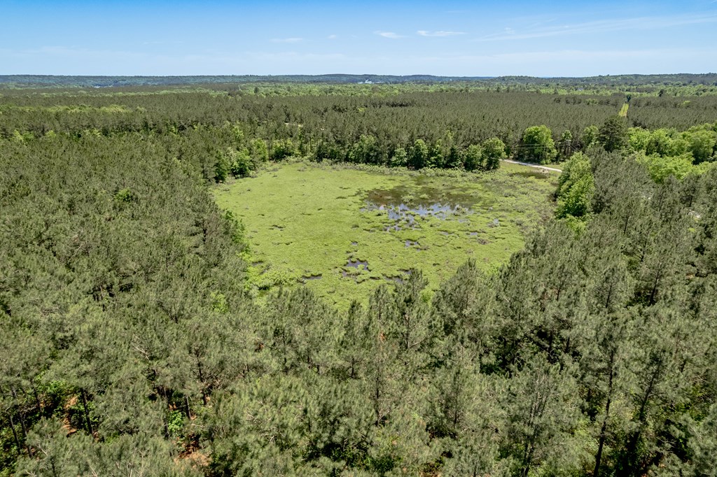 443 Lakepoint Passage Property Photo 14
