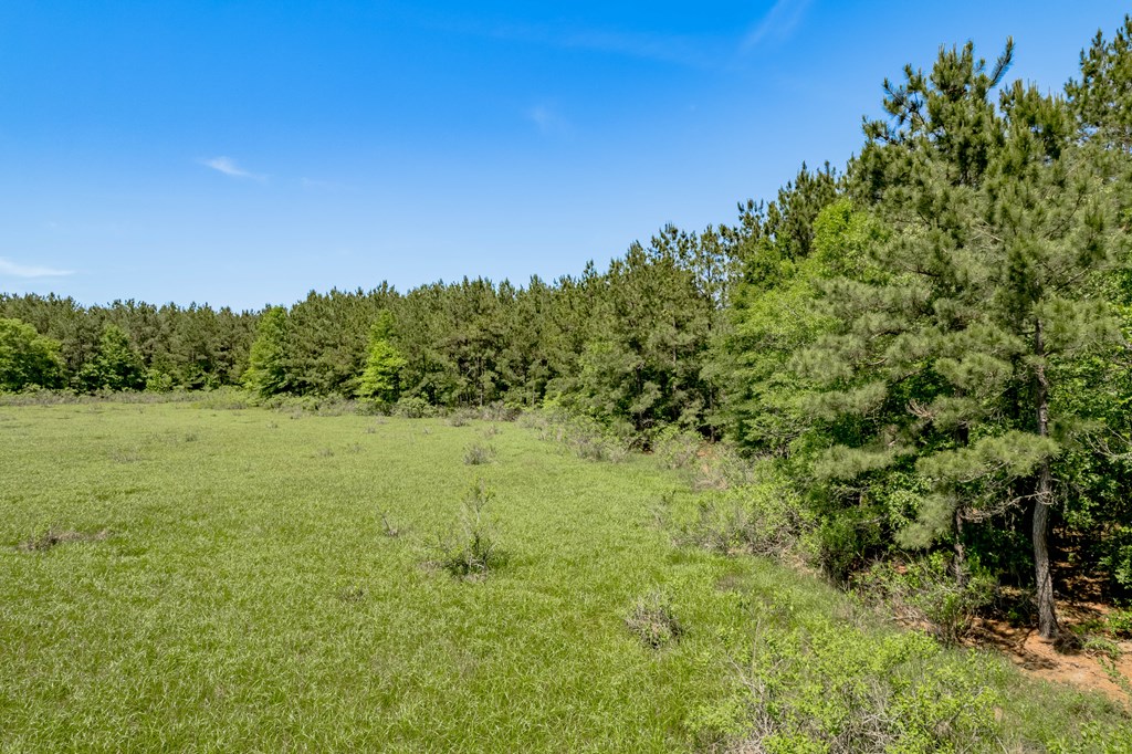 443 Lakepoint Passage Property Photo 15