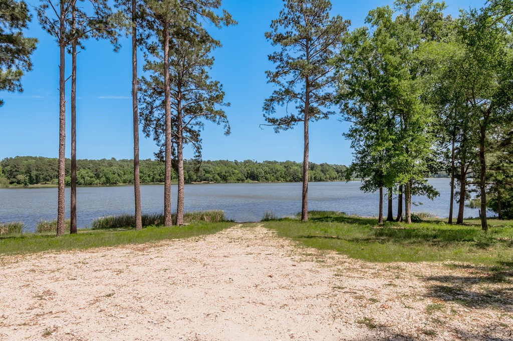 443 Lakepoint Passage Property Photo 16