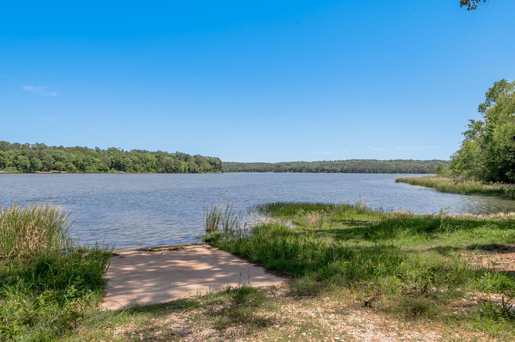 443 Lakepoint Passage Property Photo 17