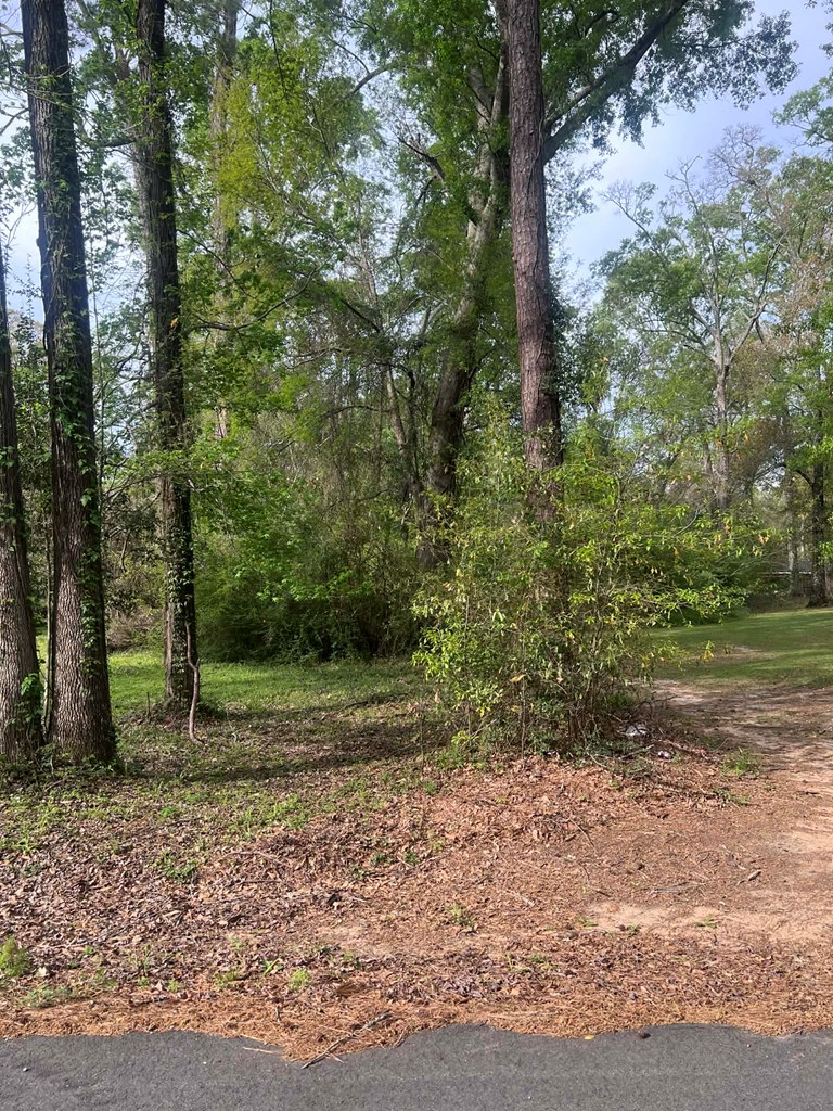 1759 Bevil Loop Property Photo 4