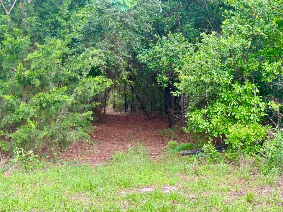 Tbd County Road 1375 Property Photo 1