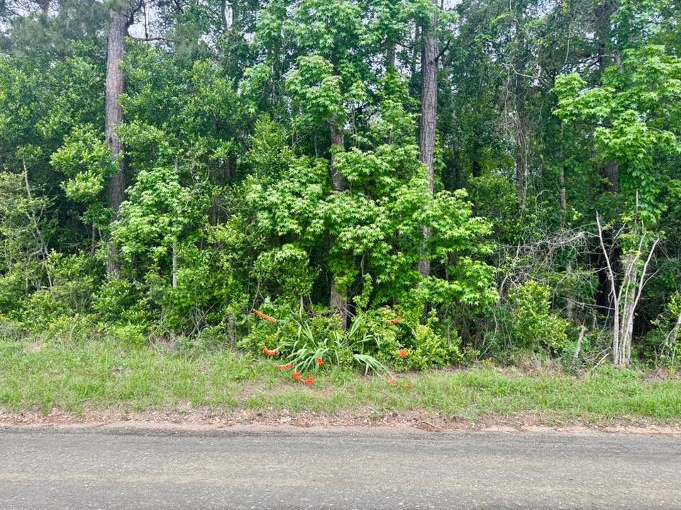 Tbd County Road 1375 Property Photo 8