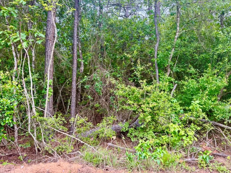 Tbd County Road 1375 Property Photo 12