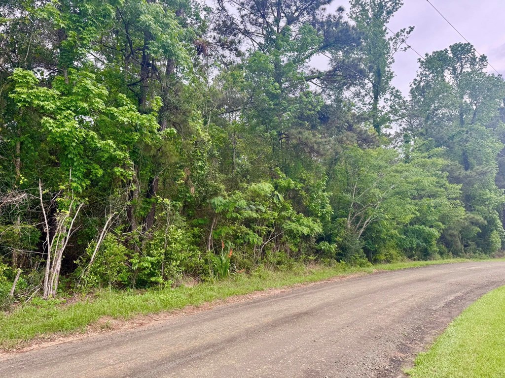 Tbd County Road 1375 Property Photo 17