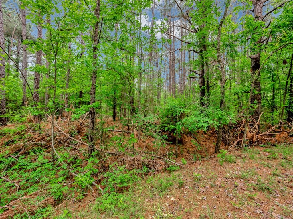 28160 Fm 95 S Property Photo 5