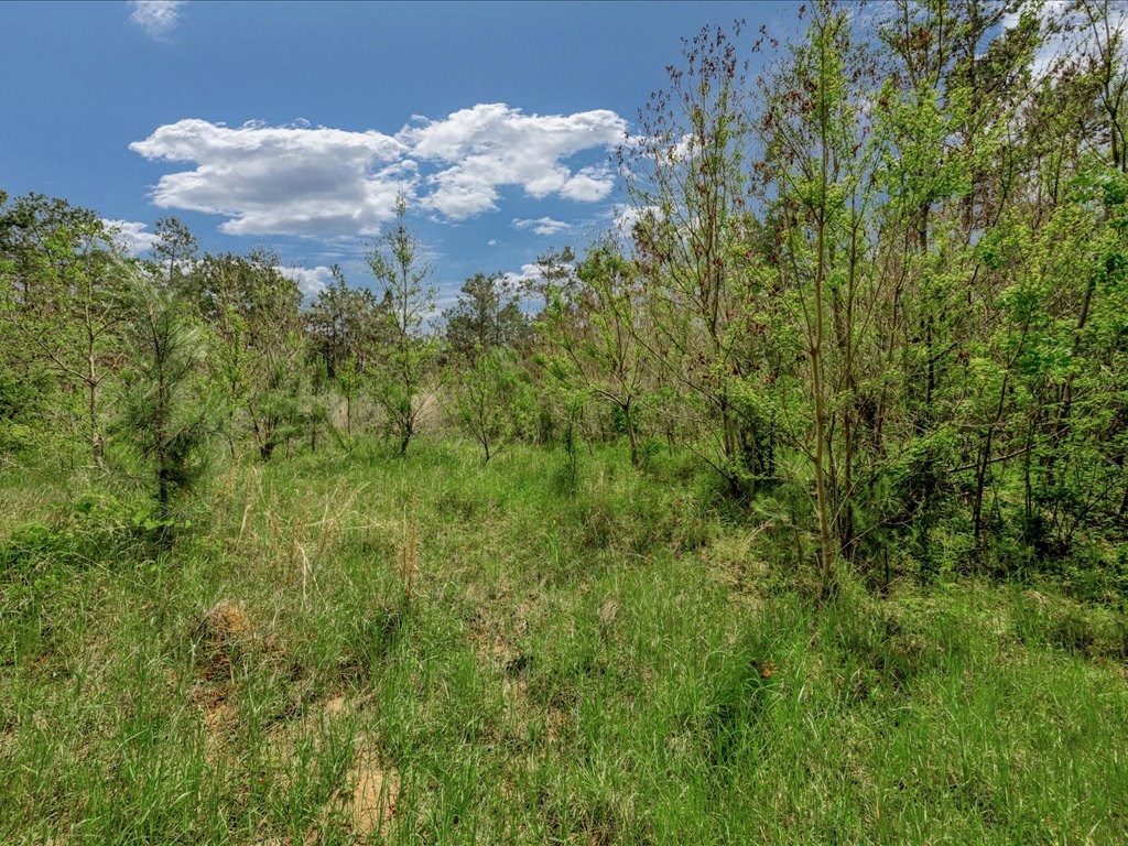 28160 Fm 95 S Property Photo 23