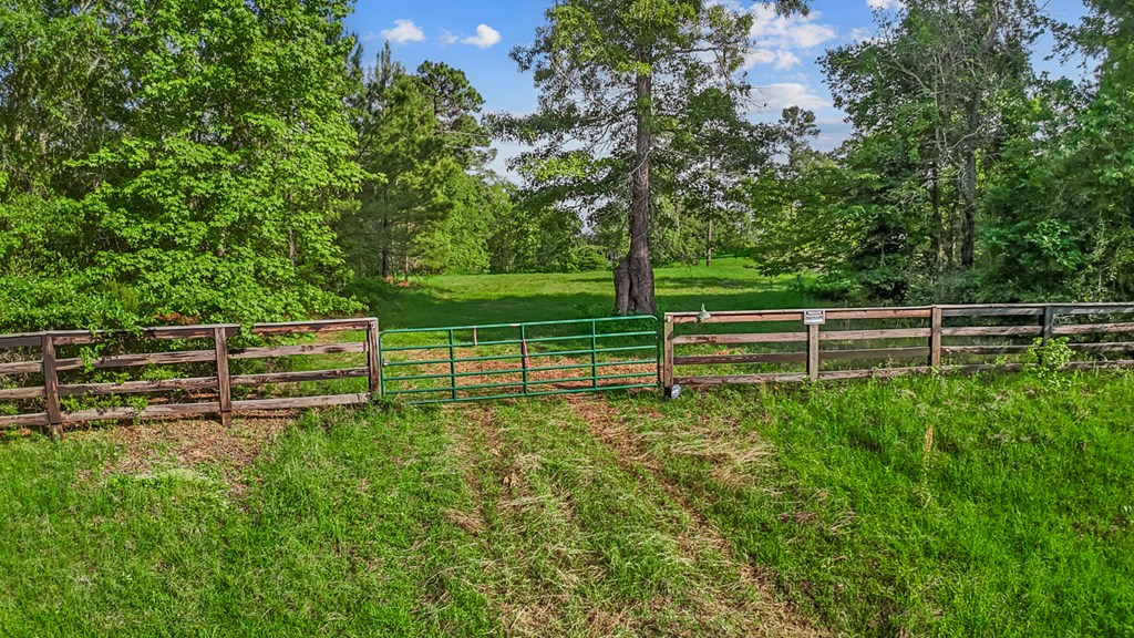 7807 County Road 447 Property Photo 2