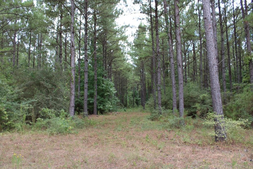 Pid 69934 Duff Rd Property Photo 1