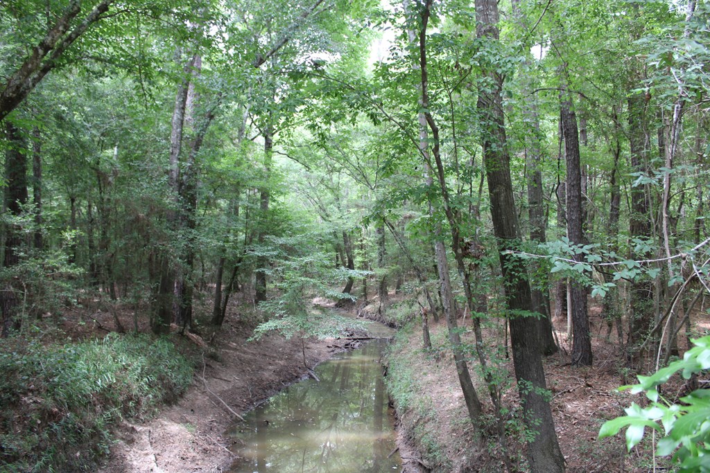 Pid 69934 Duff Rd Property Photo 2