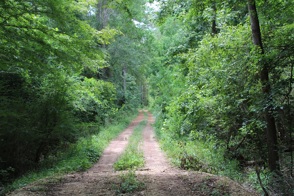 Pid 69934 Duff Rd Property Photo 3