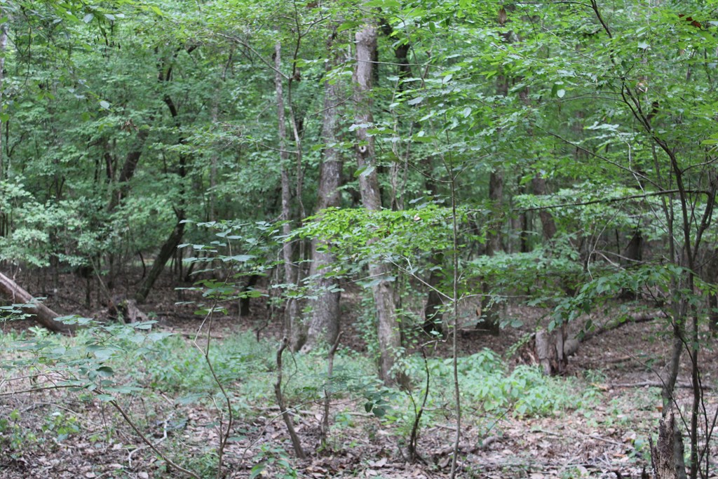 Pid 69934 Duff Rd Property Photo 4