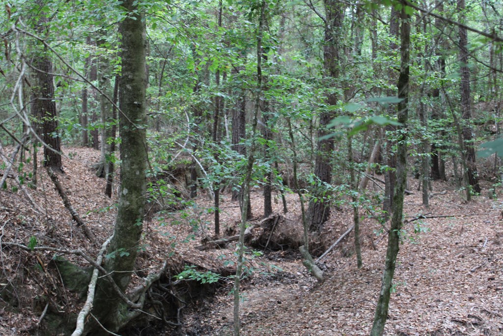 Pid 69934 Duff Rd Property Photo 5