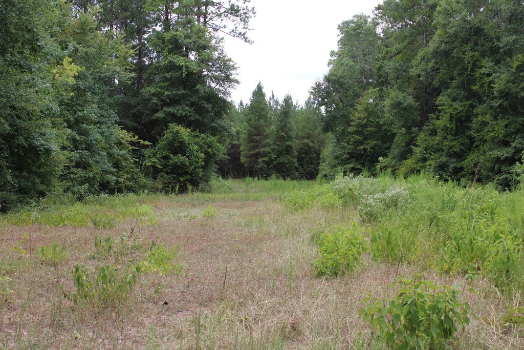Pid 69934 Duff Rd Property Photo 6