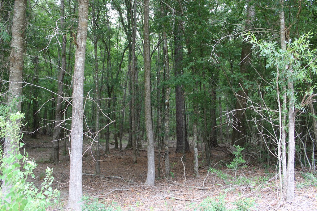 Pid 69934 Duff Rd Property Photo 7