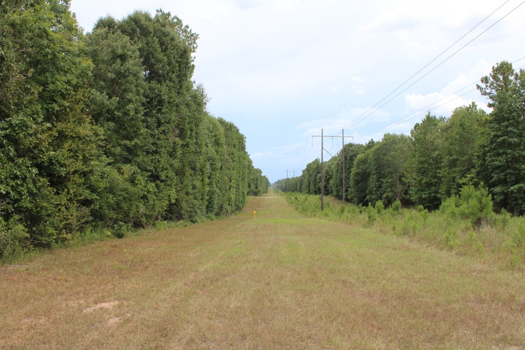 Pid 69934 Duff Rd Property Photo 8