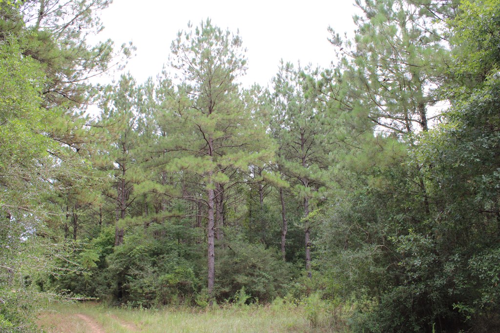 Pid 69934 Duff Rd Property Photo 9