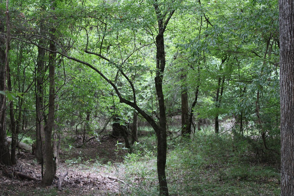 Pid 69934 Duff Rd Property Photo 10