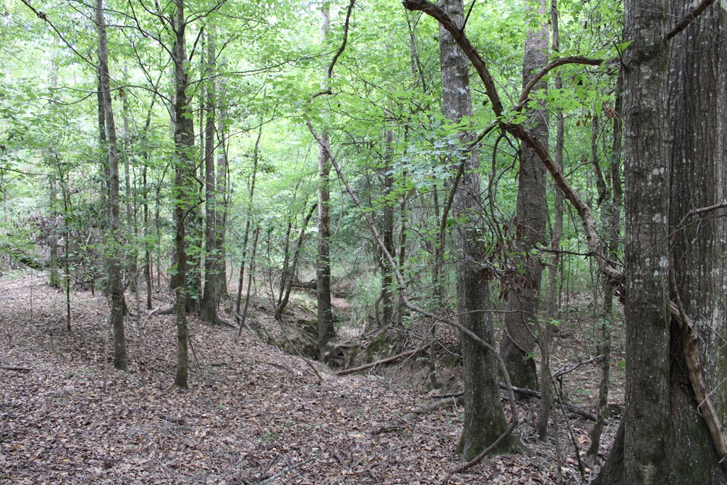 Pid 69934 Duff Rd Property Photo 11
