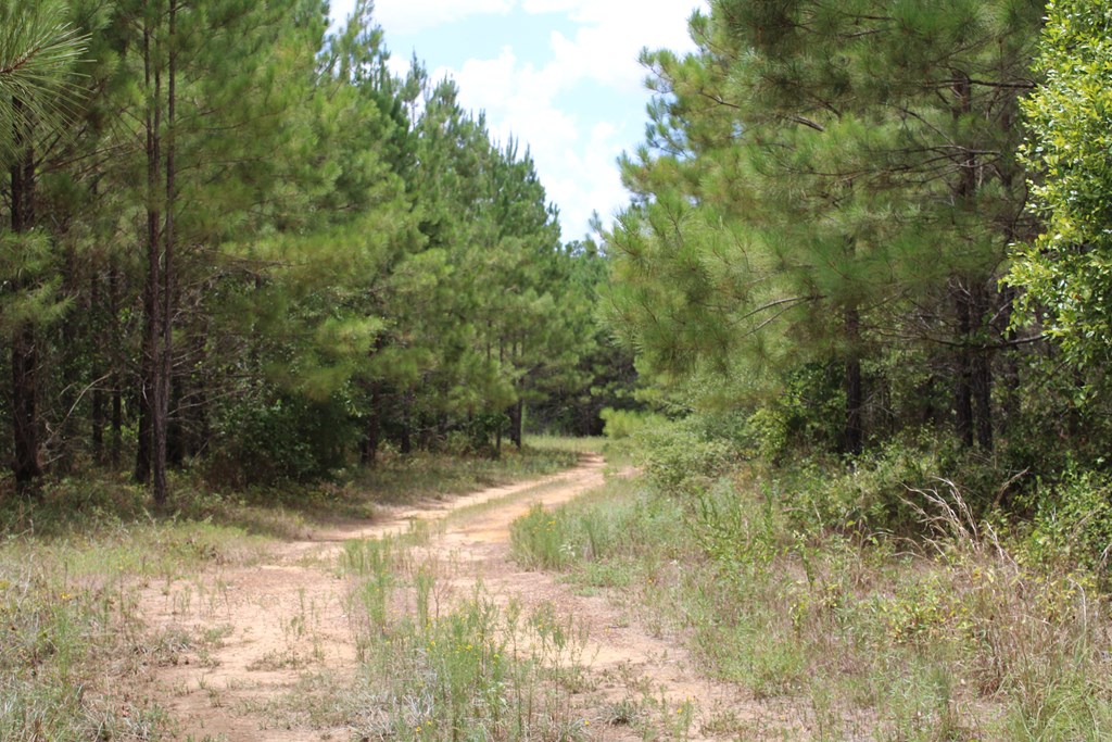 Pid 69934 Duff Rd Property Photo 12