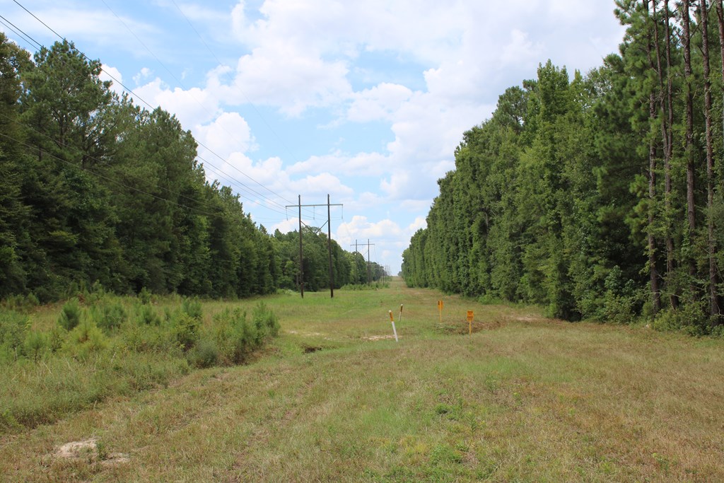 Pid 69934 Duff Rd Property Photo 13