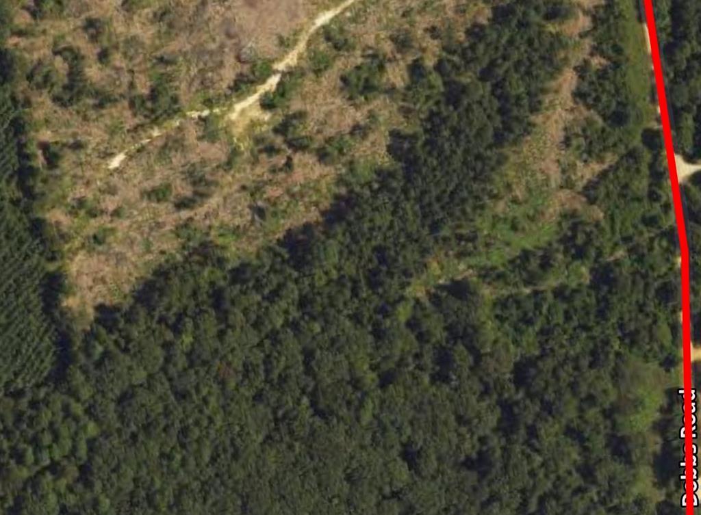 Lot 9 Cr 175 Property Photo 1