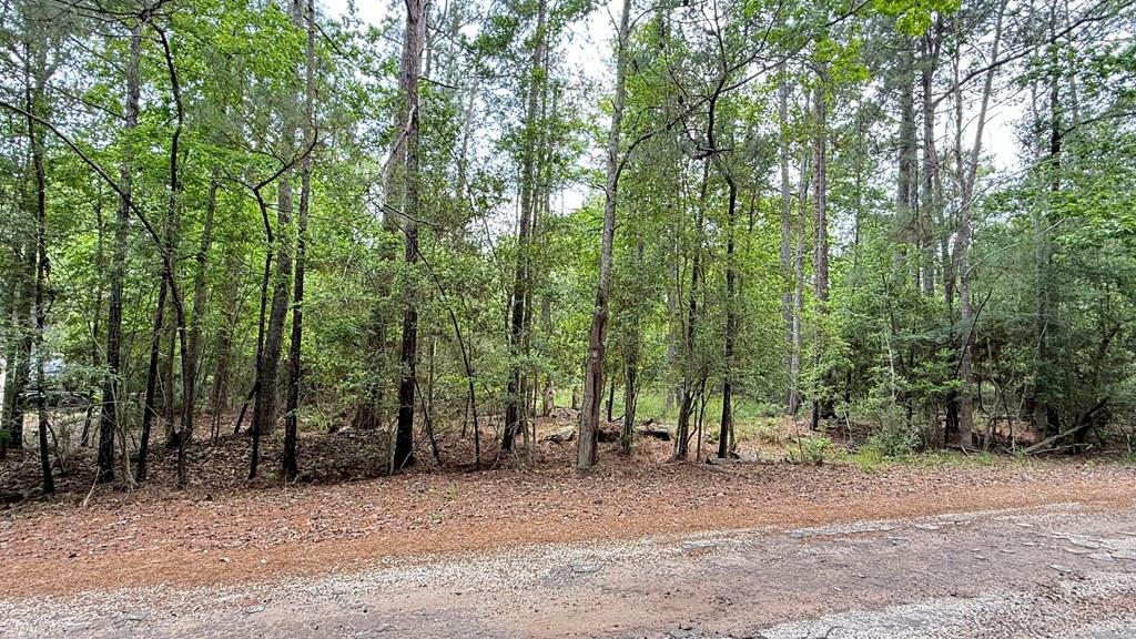 R033231 Dusky Lane Property Photo 1